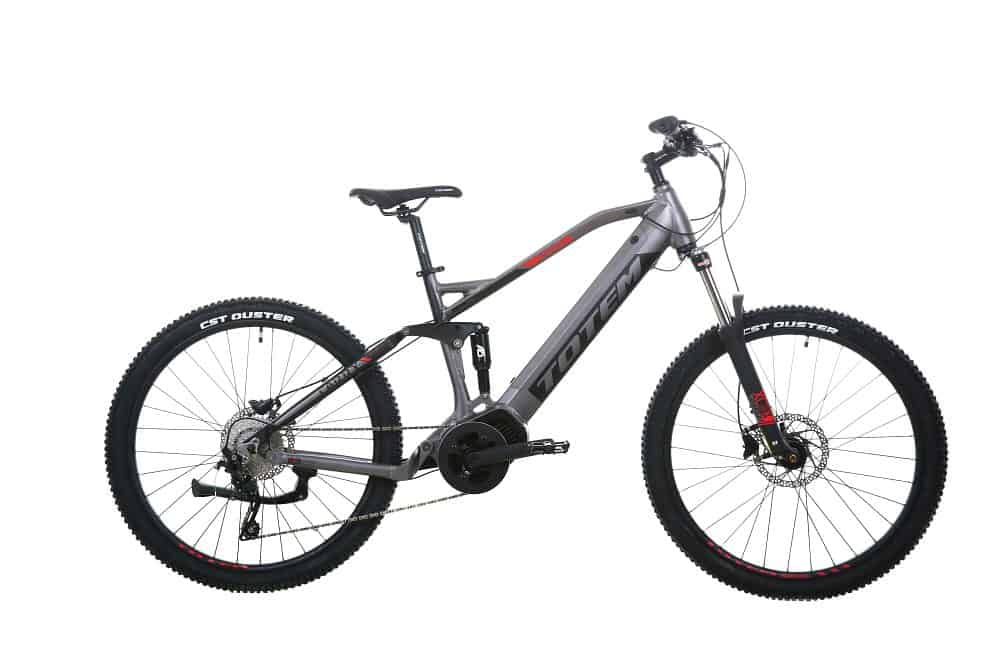 TOTEM Carry E-Mountainbike Fully grau