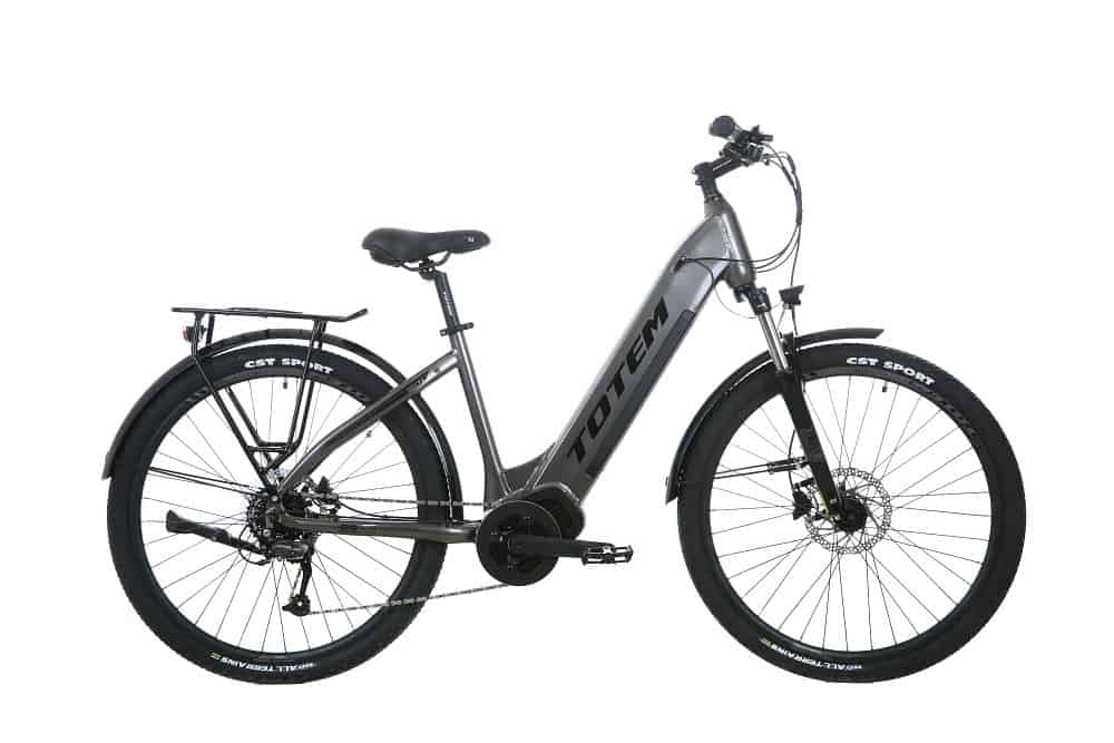 TOTEM Delta City E-Bike in Anthrazit