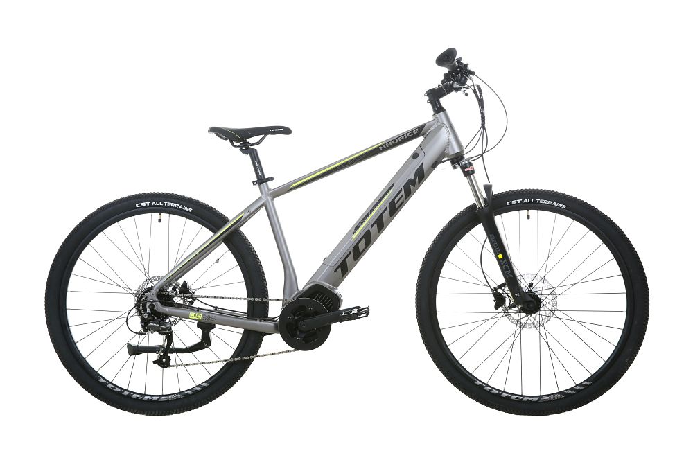 TOTEM Maurice E-Mountainbike silber